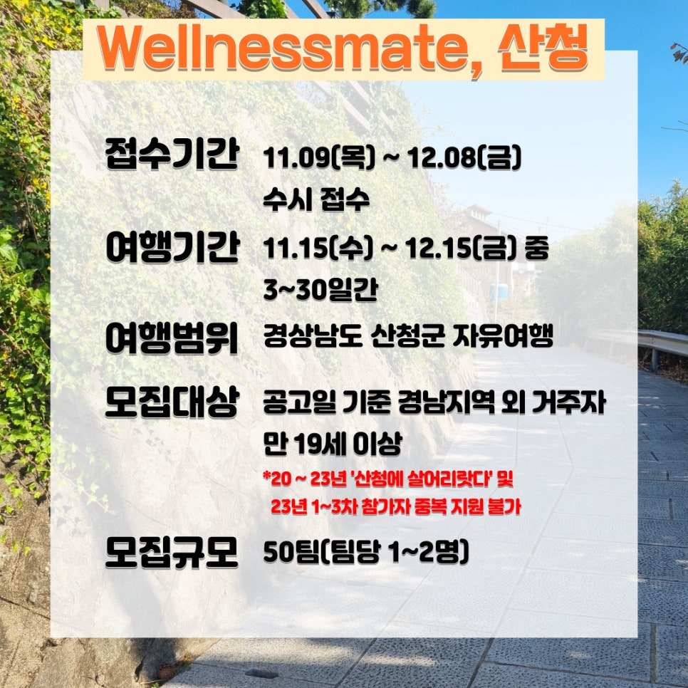 웰니스메이트 이미지