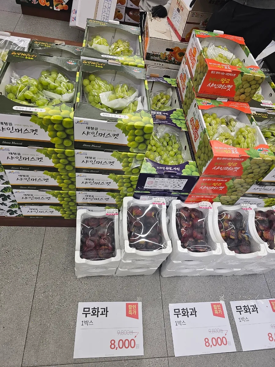 오늘과일 이미지