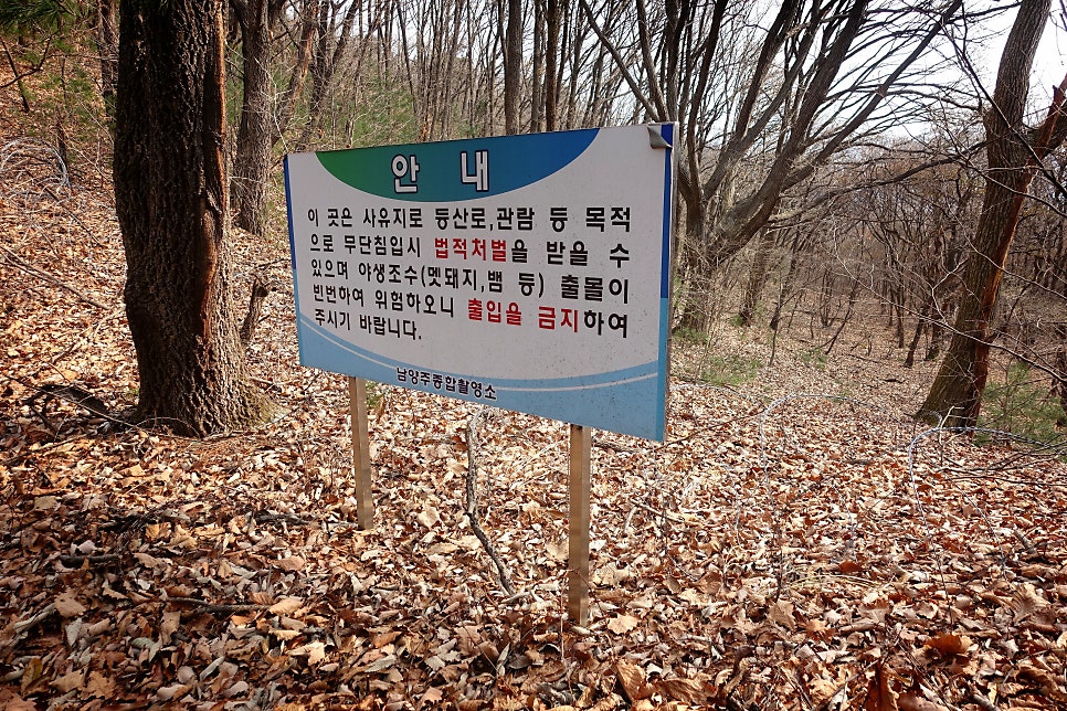 강참봉 이미지
