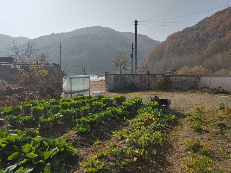 남성주IC 이미지