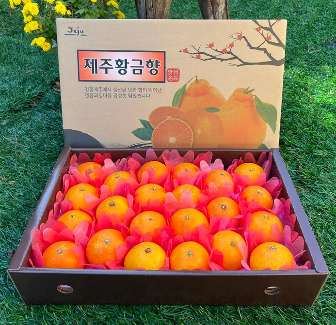 백록담제주특산품 이미지