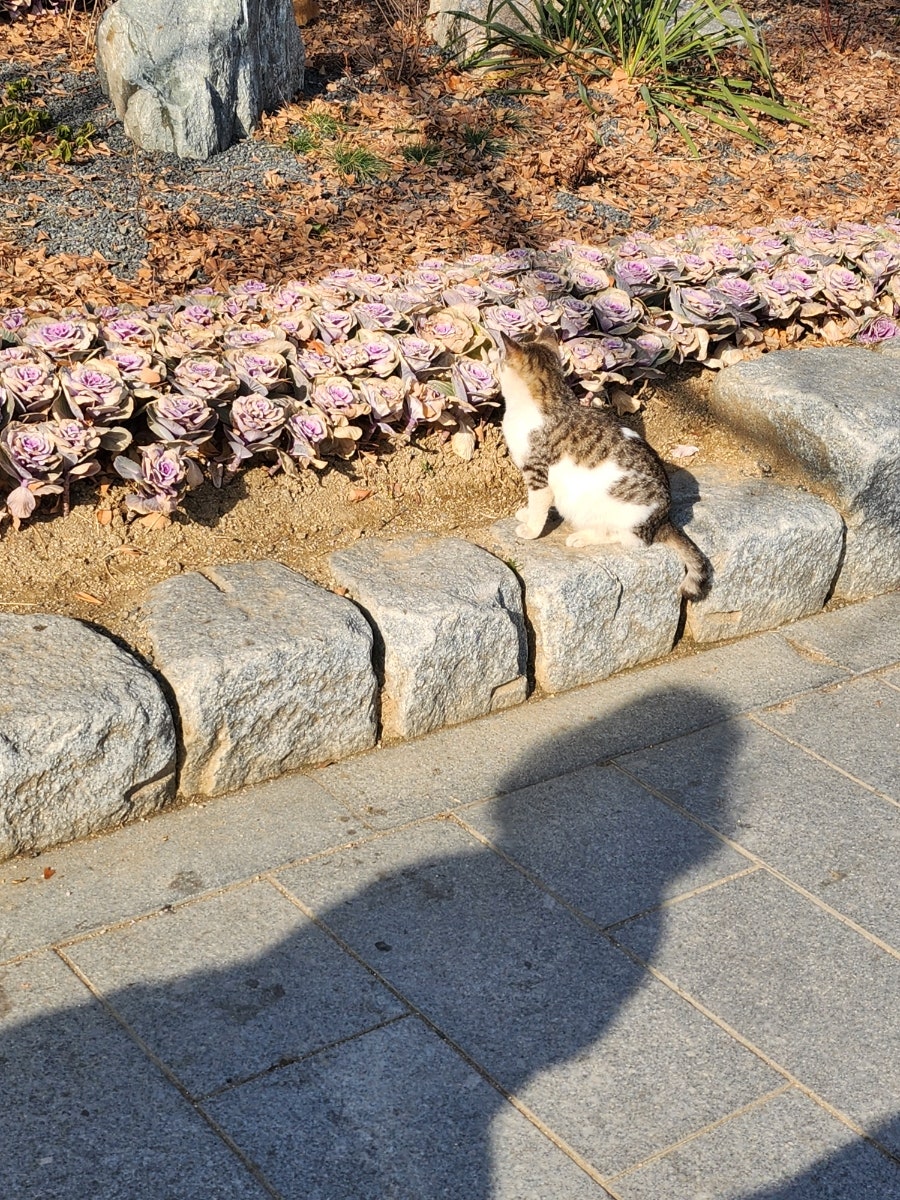 한복남칼국수 이미지