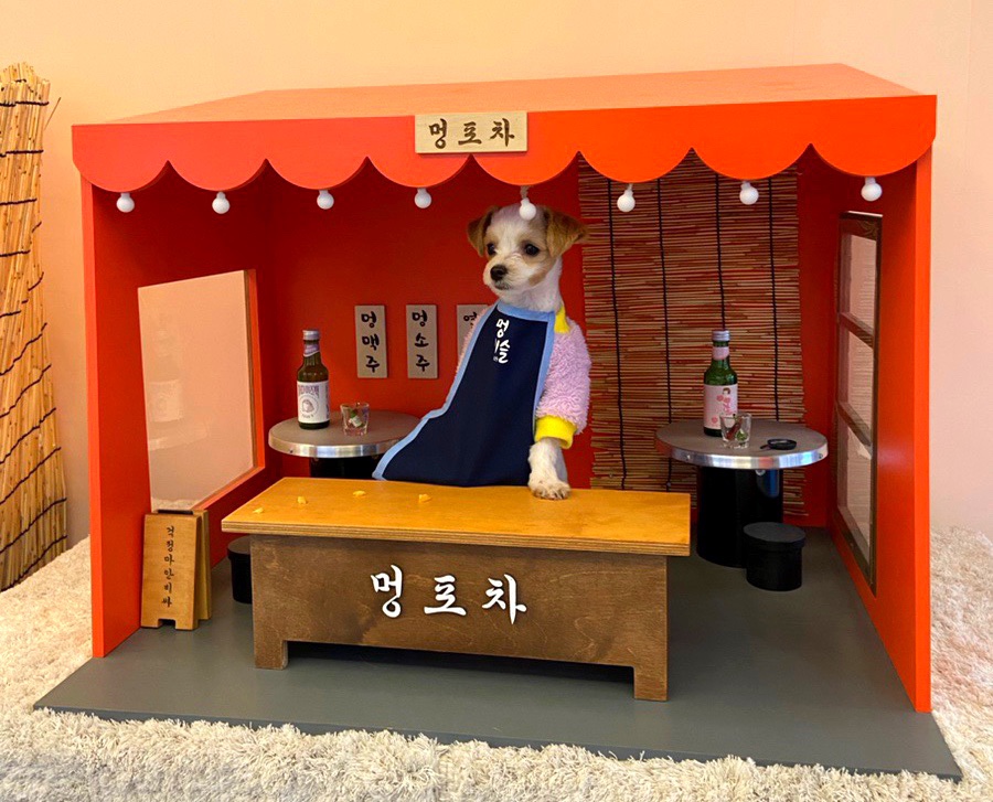 아따멍멍 이미지
