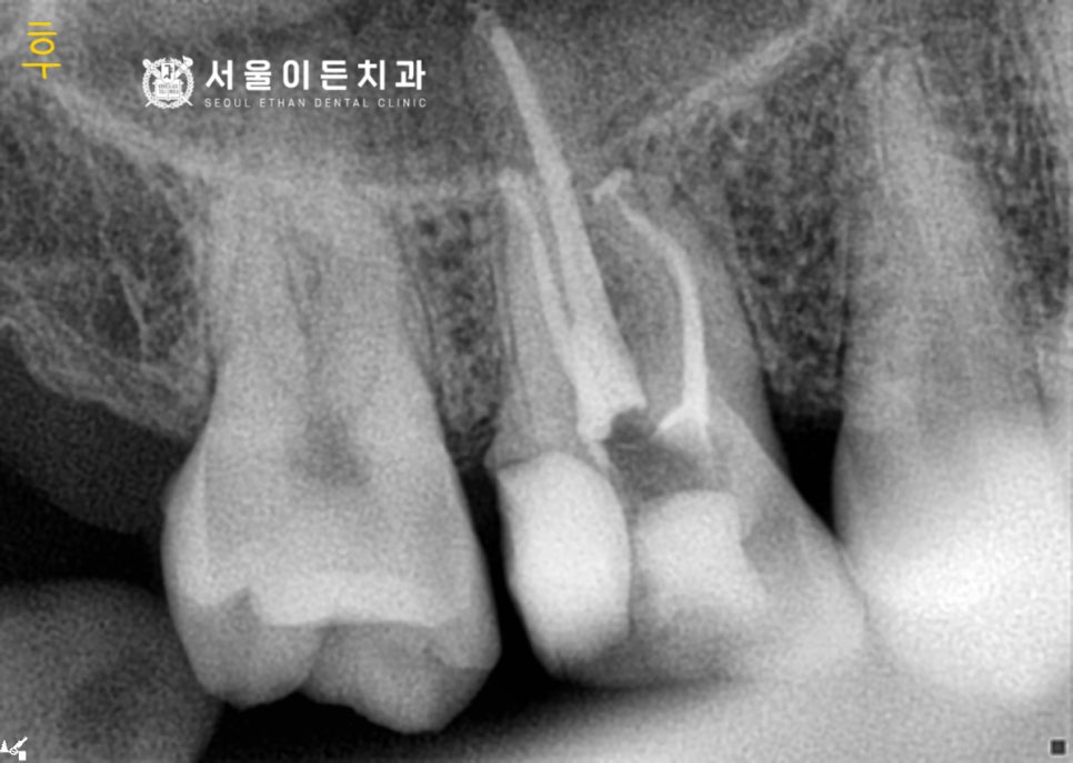 서울이든치과의원 이미지