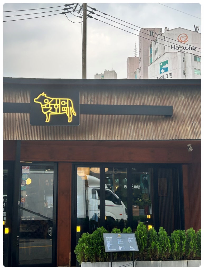 육회어때 이미지