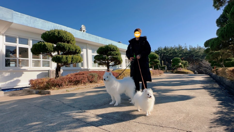 호리;휴 이미지