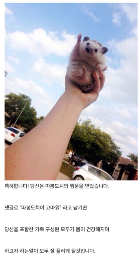 따봉 이미지