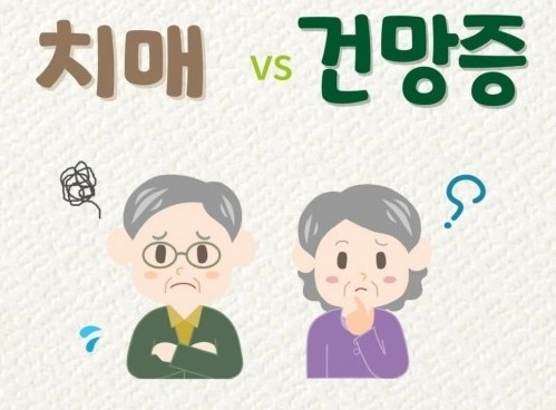 징코바이오 이미지