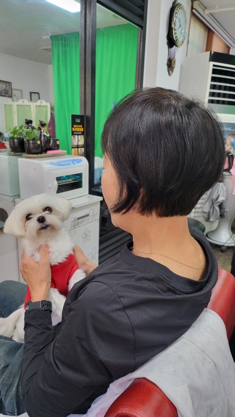 금잔디뷰티 이미지