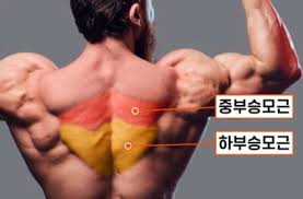 로빈짐 이미지