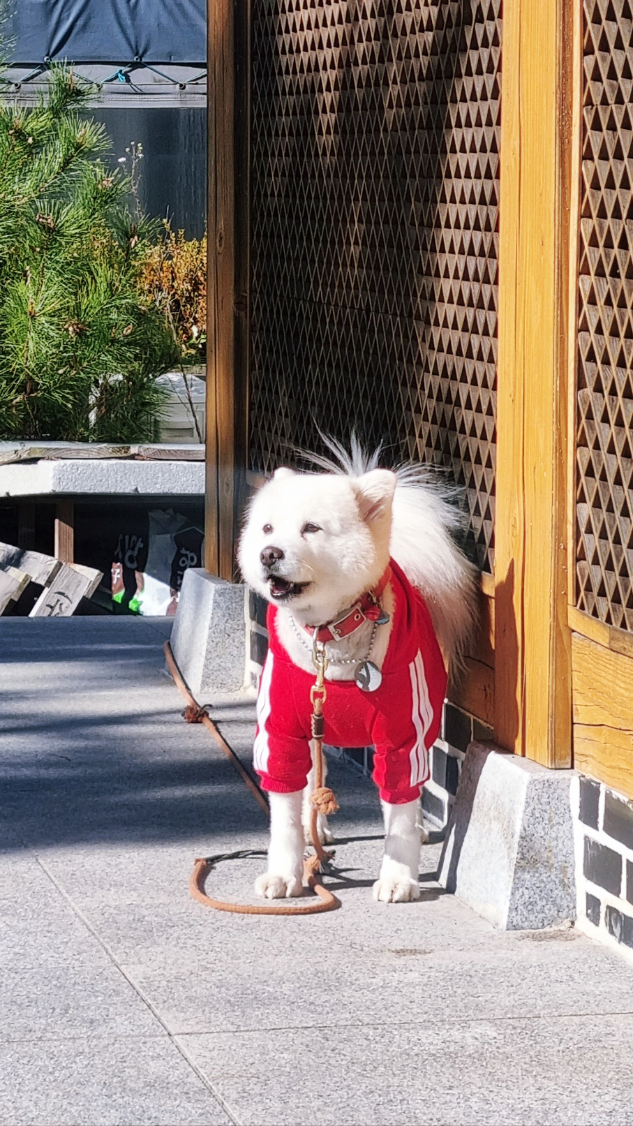 서남산한옥관 이미지