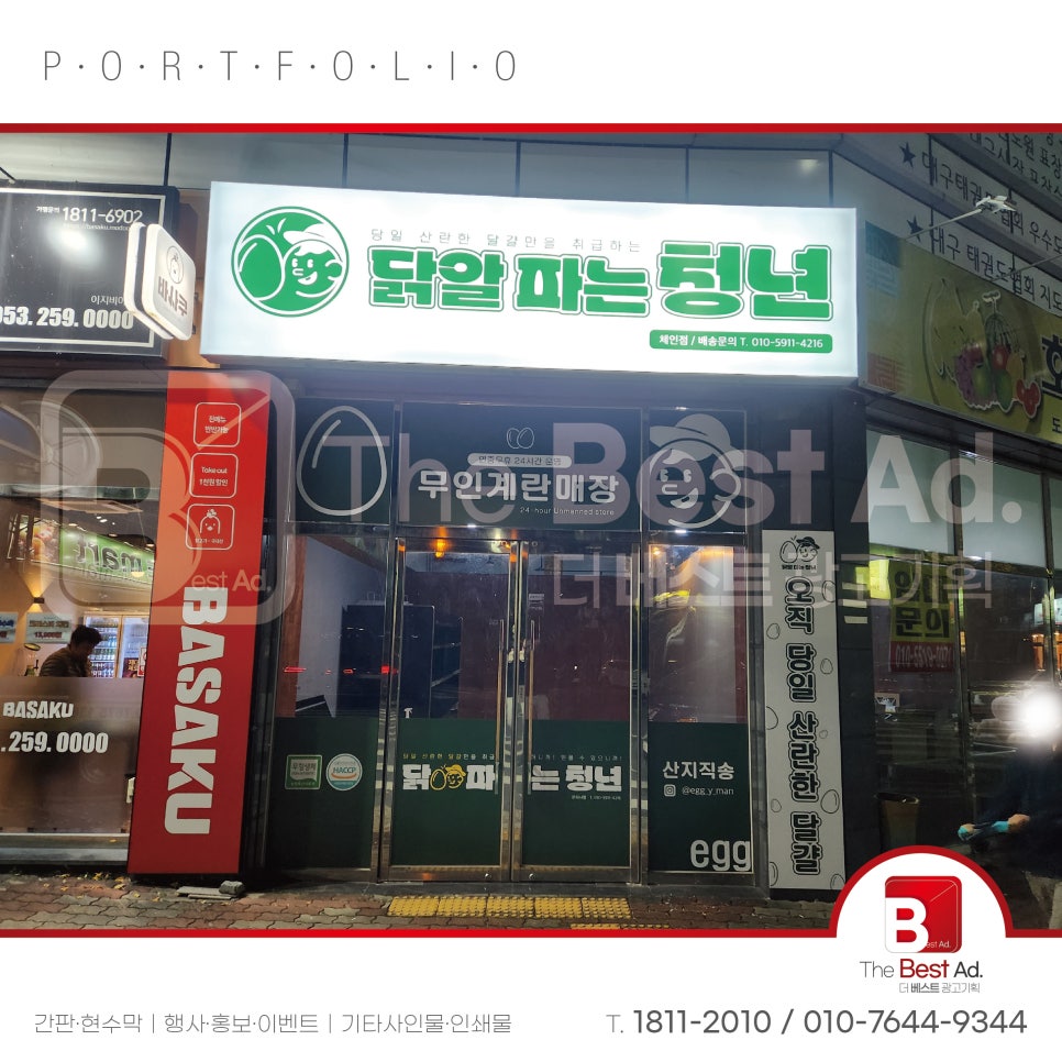 닭알파는청년 이미지