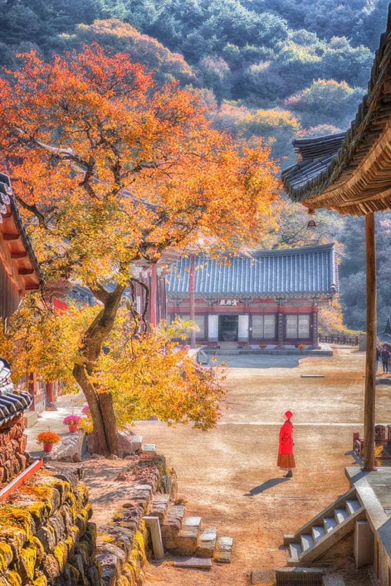 지리산농부마을 이미지