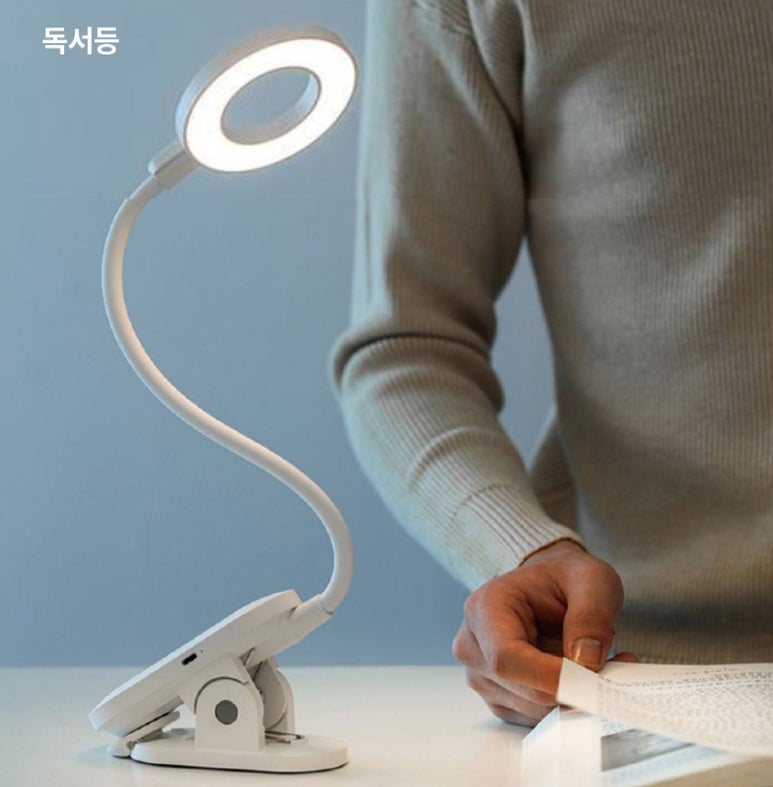 포리스 이미지