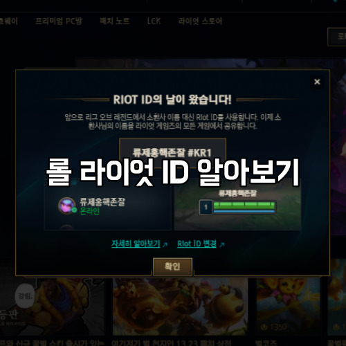 롤 닉네임 소환사이름 대신할 롤 아이디 라이엇 ID 알아보기 : 네이버 블로그