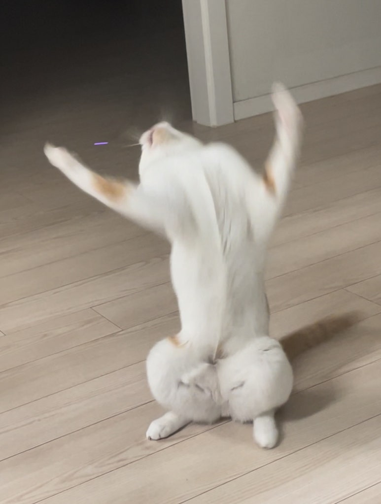 신만용신가네매운떡볶이 이미지