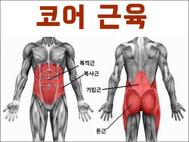 인모션재활트레이닝센터 이미지