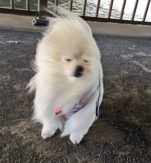 금수문화공원야영장 이미지