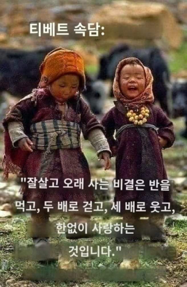 법무법인태진 이미지