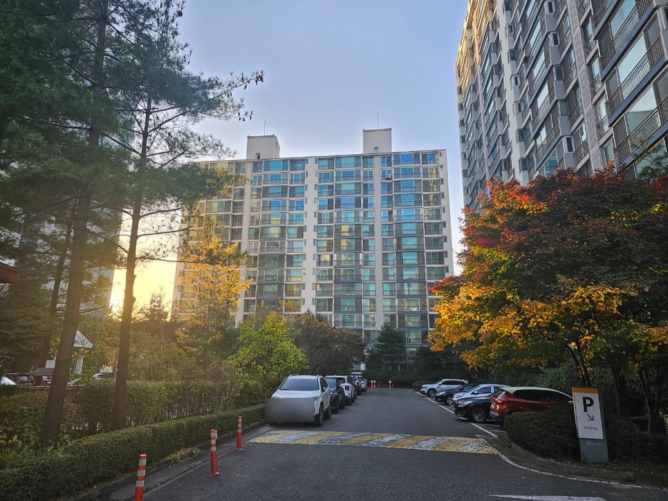 고양시립별빛어린이집 이미지