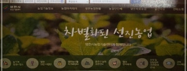 알찬연근팜 이미지
