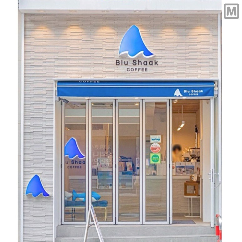 블루샥수영 이미지