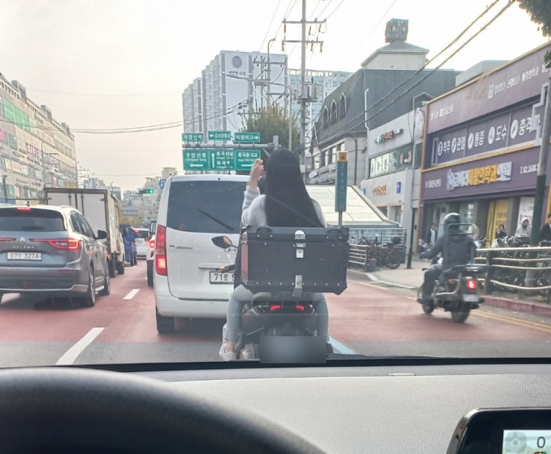 고삐리둘 이미지