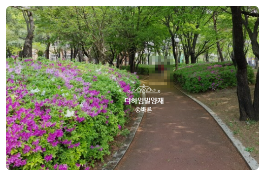 코맥스홈네트워크(원 이미지