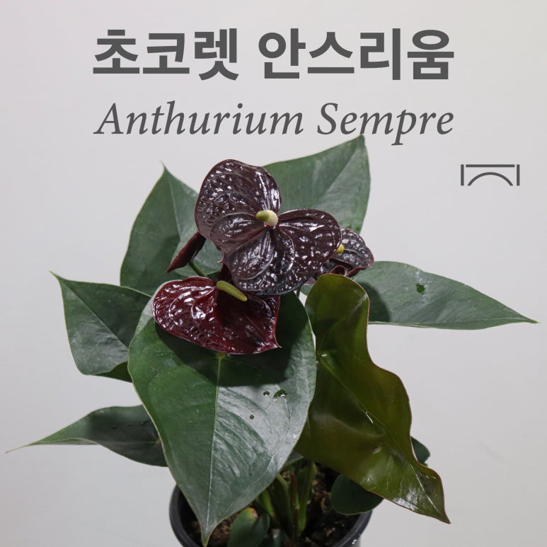 법인나라원예 이미지