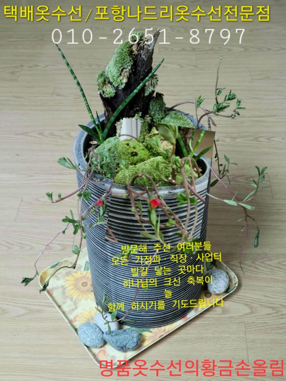 사계절옷수선 이미지