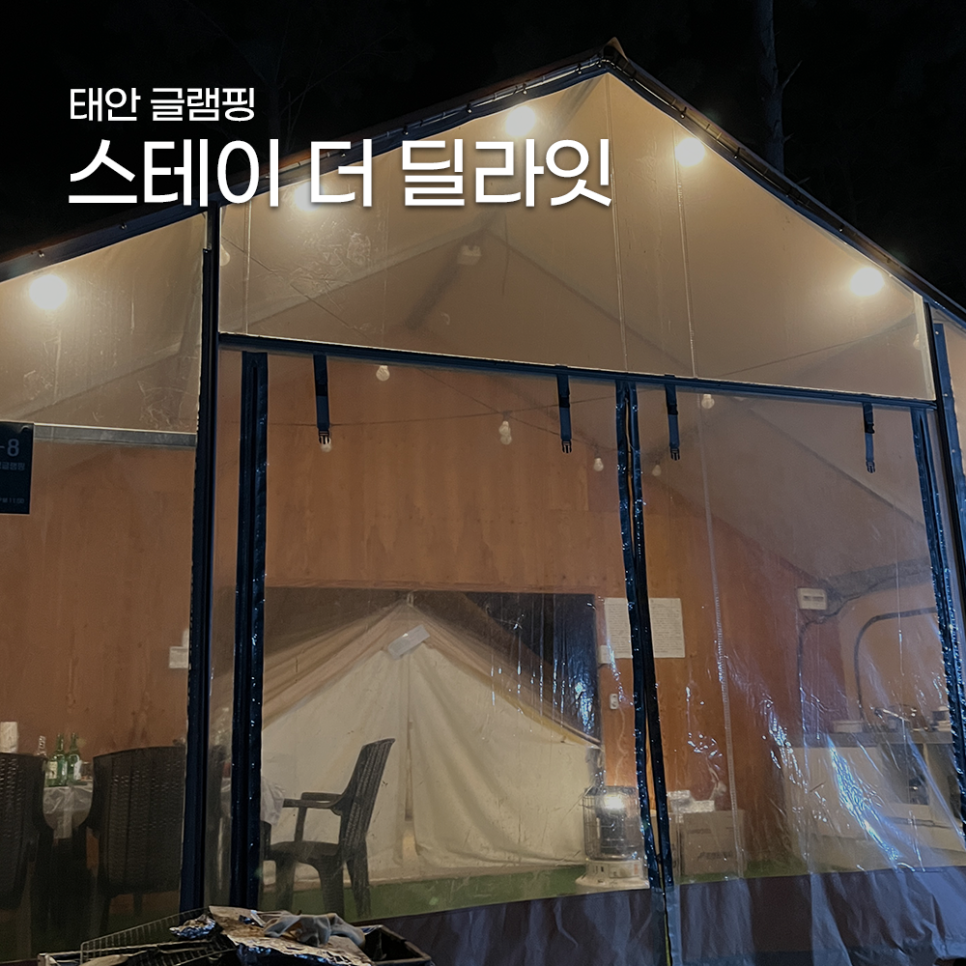 스테이더딜라잇 이미지