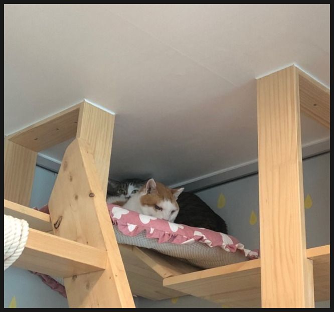 교육문화복지협동조합함께 이미지