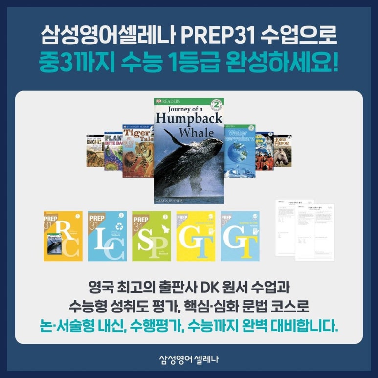 디피에스 이미지