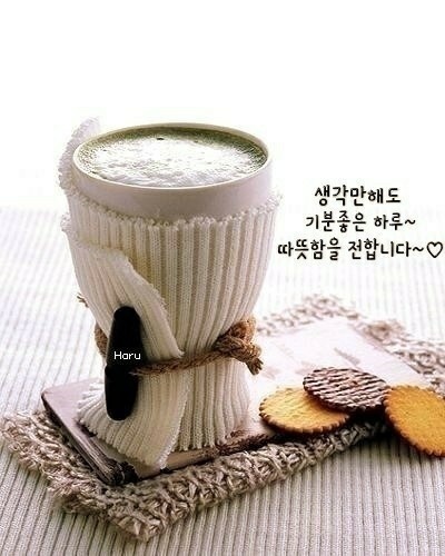 대지샾 이미지