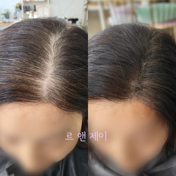 르앤제이 이미지