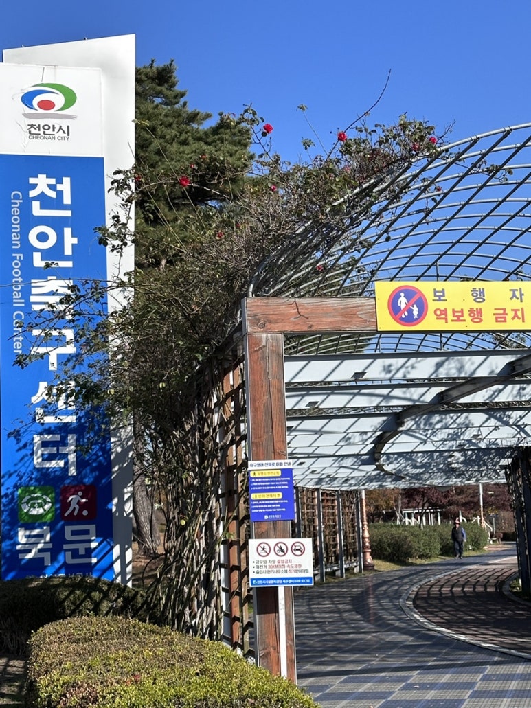 오월의숲커피팩토리 이미지