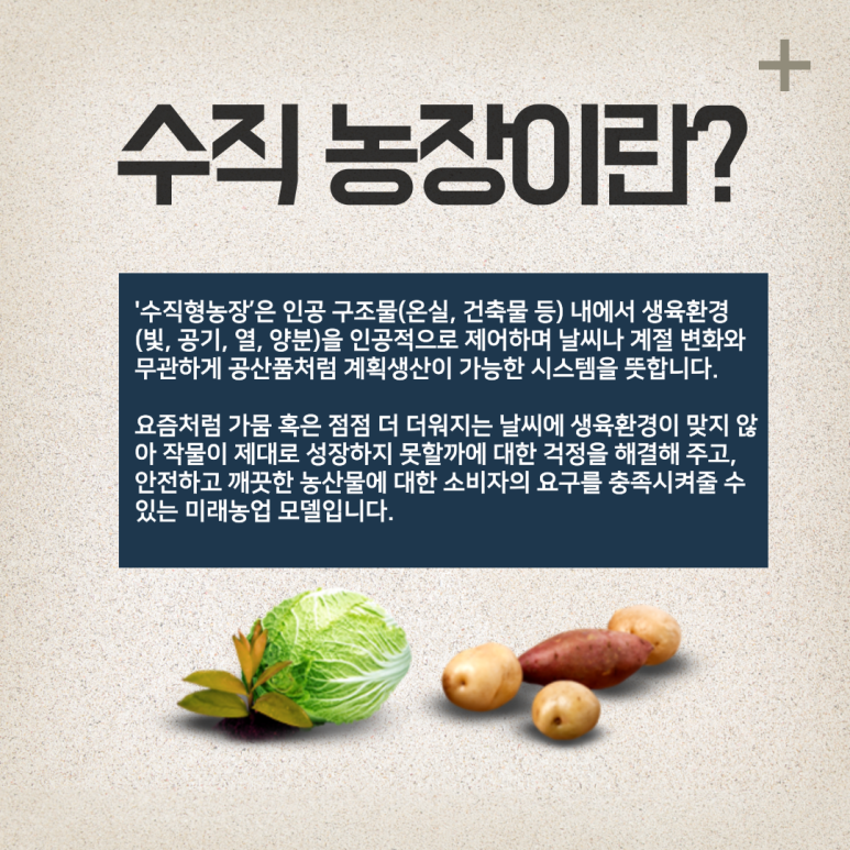 그린파이브 이미지
