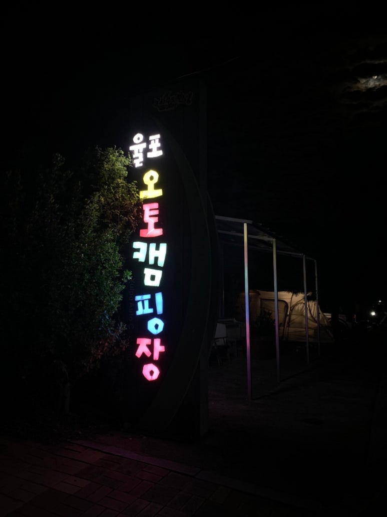 보성오토 이미지
