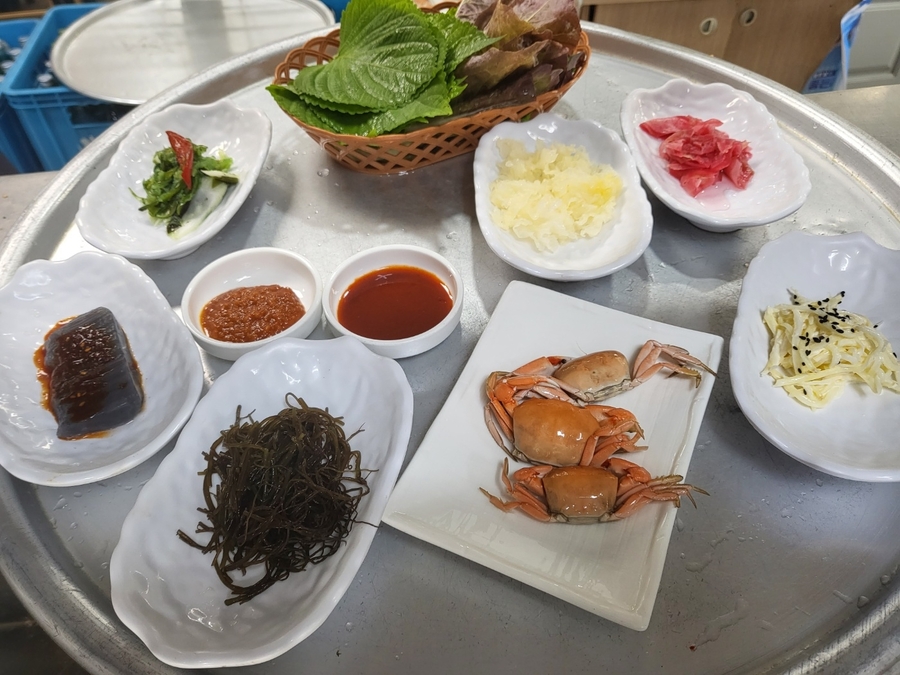 활어바다친구 이미지