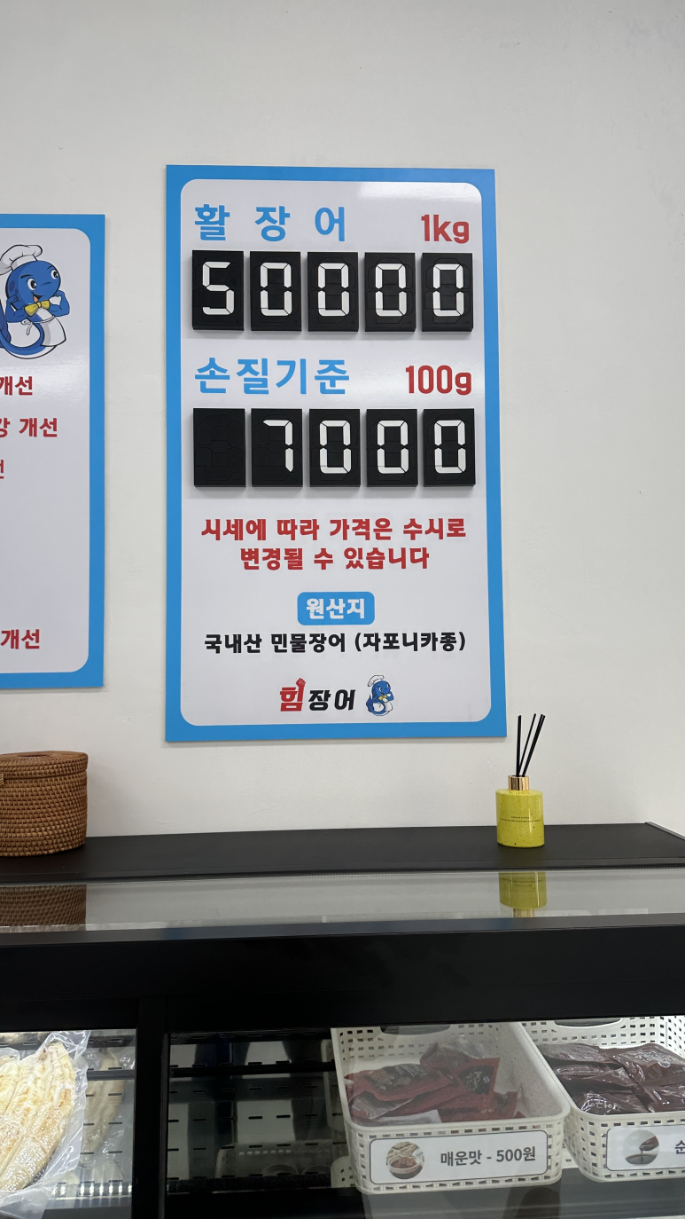 힘장어 이미지