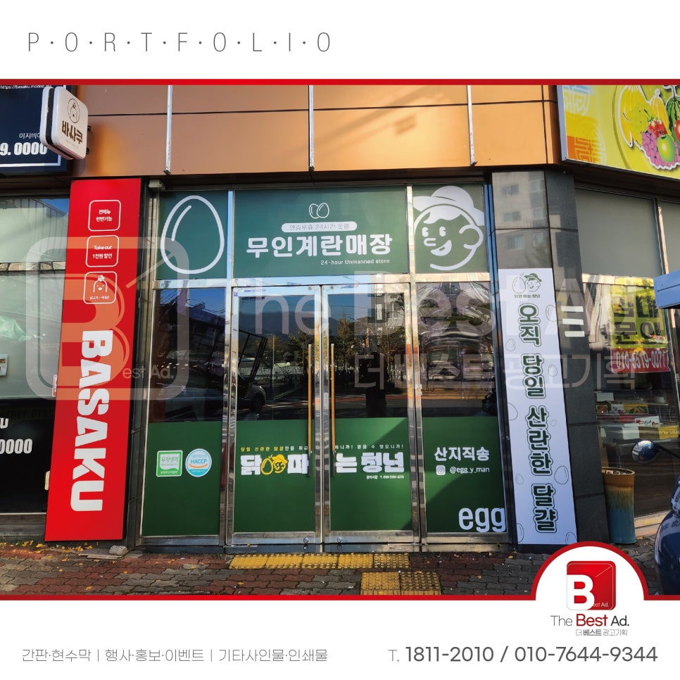 닭알파는청년 이미지