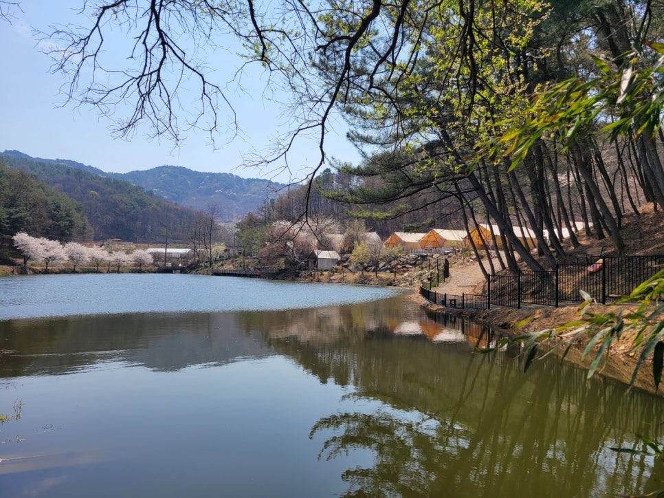판앤팜 치유정원 이미지