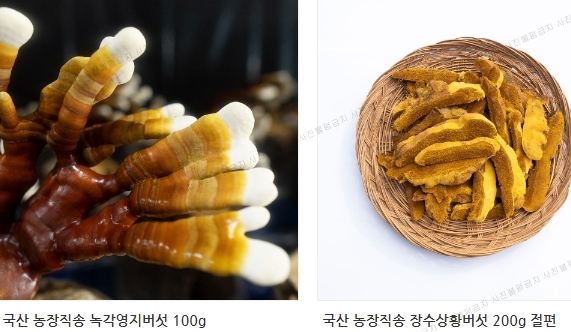 버섯놀이터변산농장 이미지