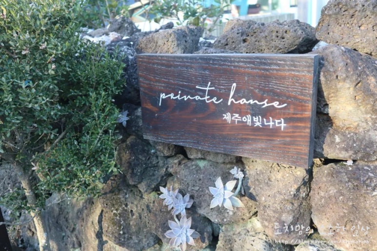 제주애빛나다 이미지