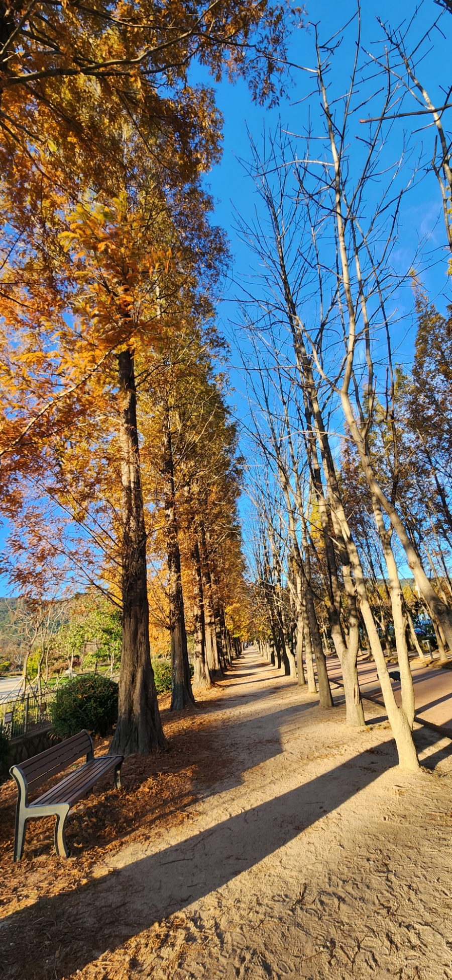 헤어리치맘 이미지