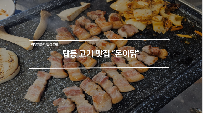 돈이닭 이미지