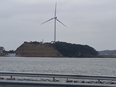 대굴대굴수산 이미지