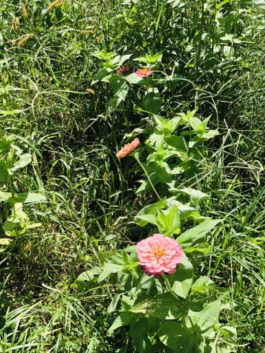 카페 산들 이미지