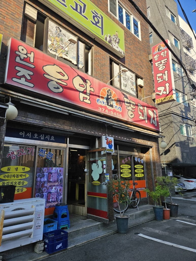 원조응암똥돼지 이미지