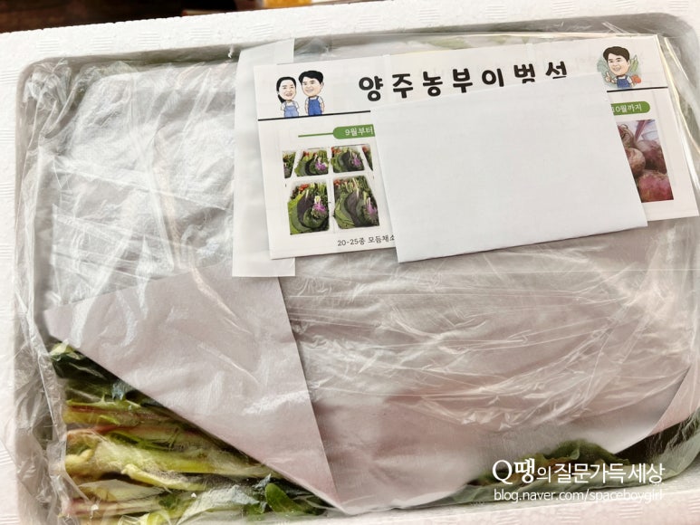 샐러드박스양주 이미지